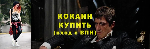 соль ск Арсеньев