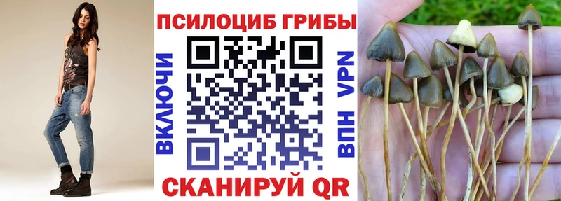 даркнет сайт Полярные Зори Псилоцибиновые грибы мицелий